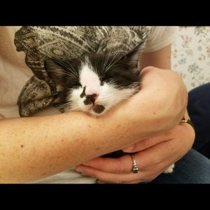 Meet your Posher, Kaitlin